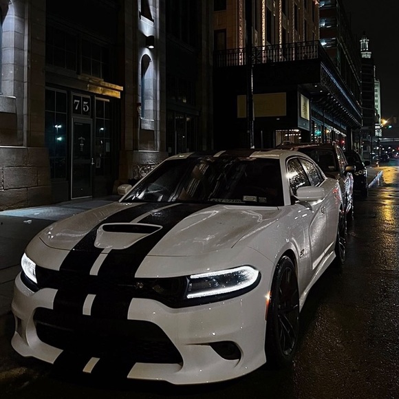 Meet the posher diizelle! - Picture 6 of 9